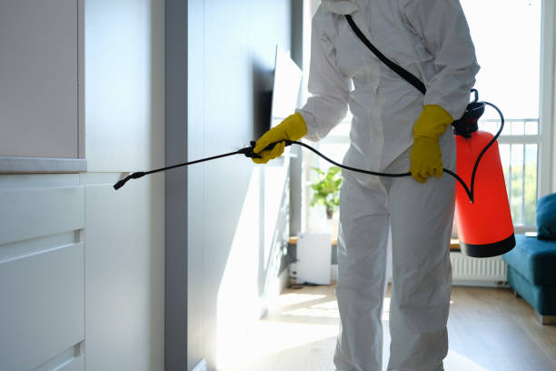 Best Emergency Mold Remediation in Glenville, WV